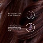 Moremo Advanced LPP Bundle - Image 2