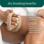 ⁦Eco Tools Dry Body Brush⁩ - الصورة ⁦3⁩